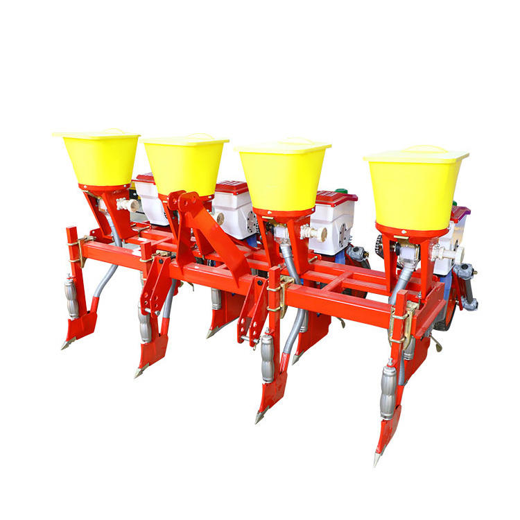 Cây ngô nông nghiệp có thể điều chỉnh các loại đất và điều kiện trồng khác nhau không?