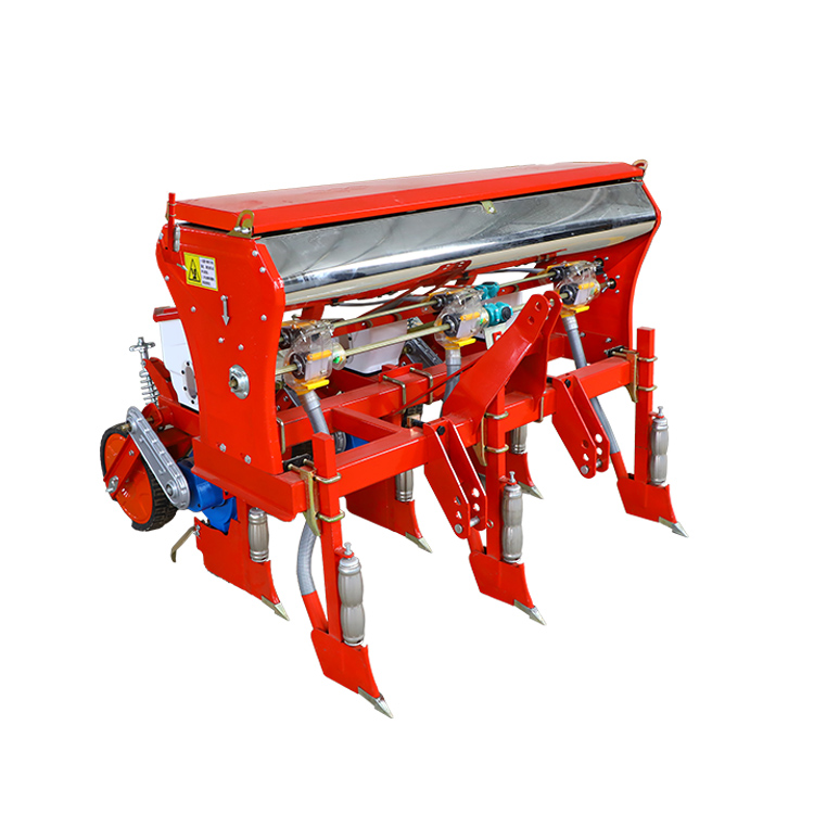 Người trồng hạt ngô